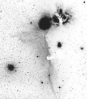 Negative image of Horsehead region, mirror view