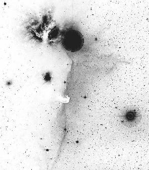 Negative image of Horsehead region, normal view