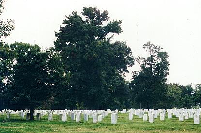 Arlington Cemetery