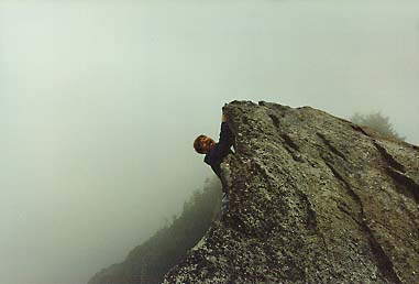 Nut on cliff