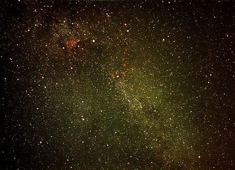 Cygnus