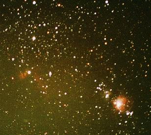 Flame and Horsehead nebula
