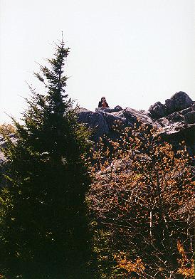 Lynn at the top