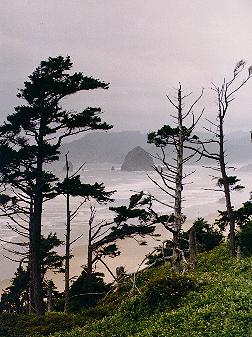 Haystack rock