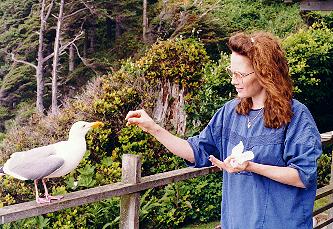 Lynn feeding bird
