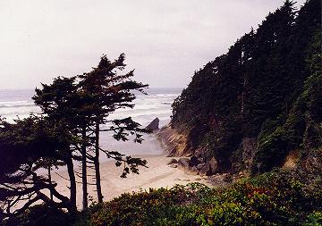Oregon coast from the cabin
