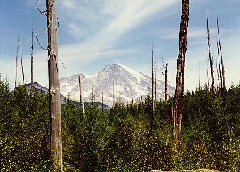 Mt. Rainier with less snow