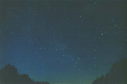 Sagittarius & Scorpius