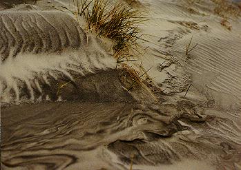 Sand of the outer banks