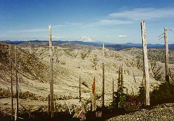 Barren, as far as you can see