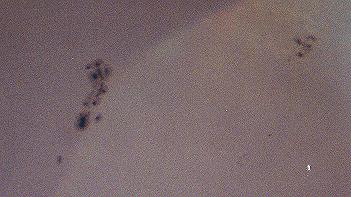 Sunspot grouping