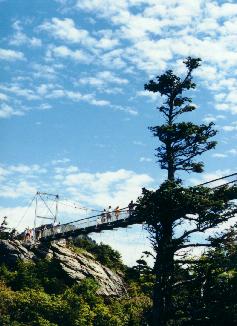 View of swinging bridge of Grandfather Mountain from below