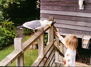 Victoria feeding bird